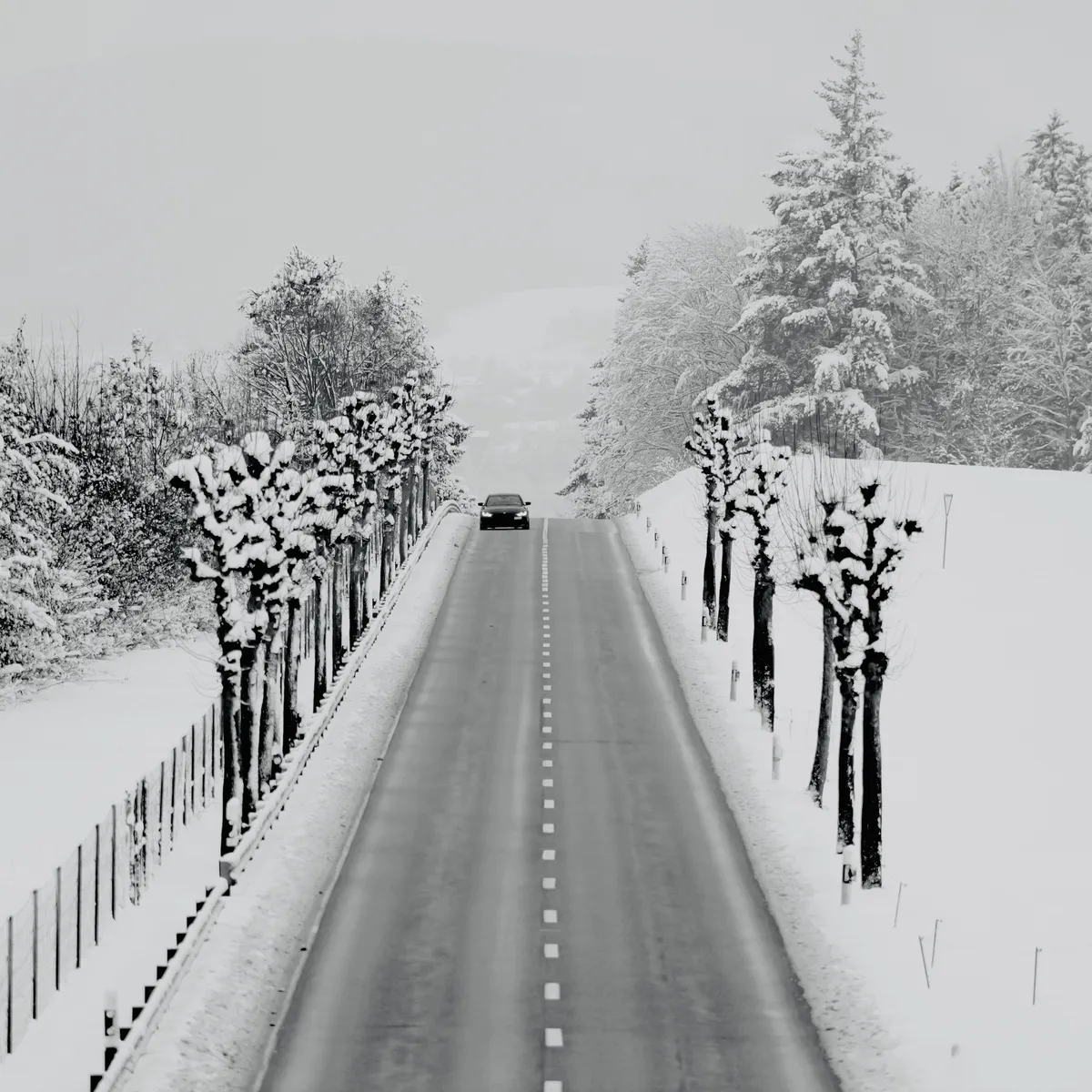 Fahrzeuge