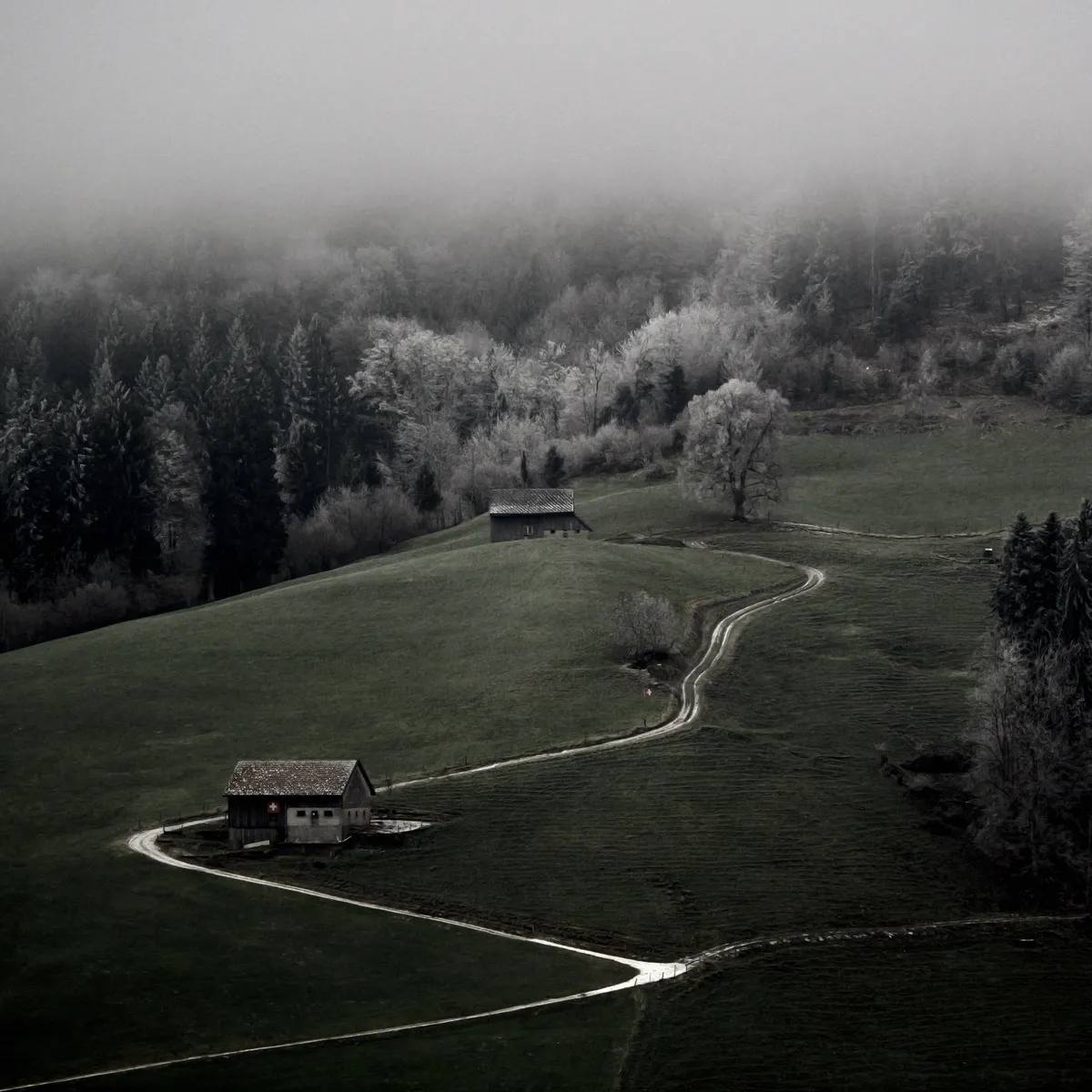 Natur