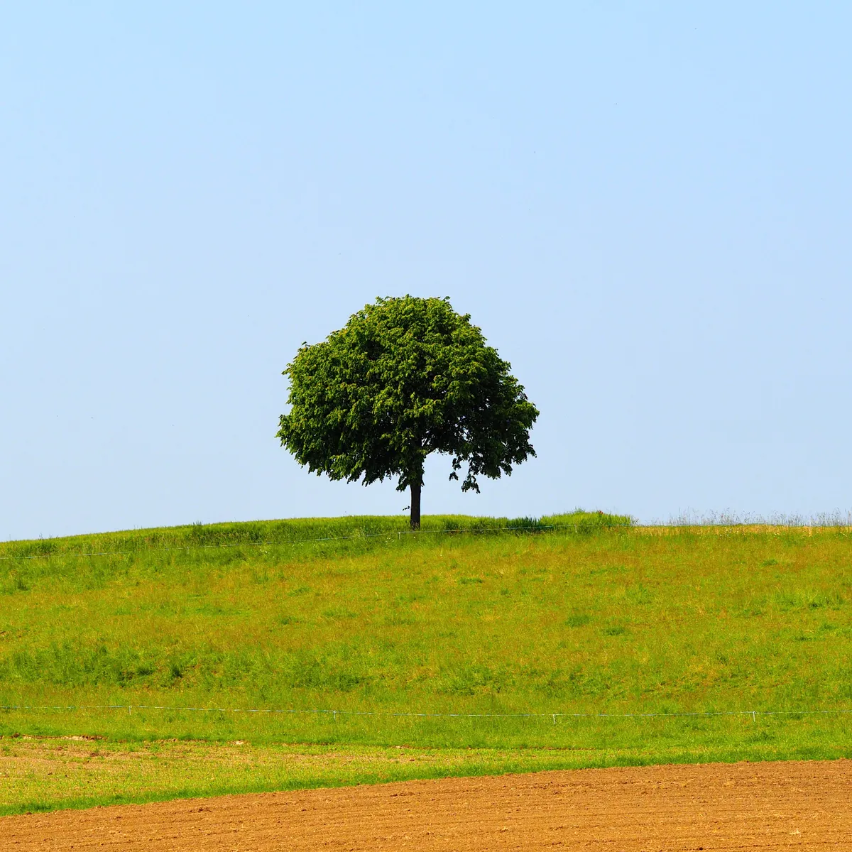 Natur